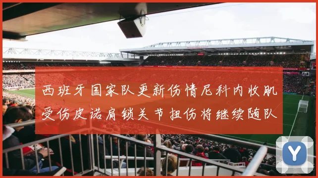 西班牙国家队更新伤情尼科内收肌受伤皮诺肩锁关节扭伤将继续随队训练