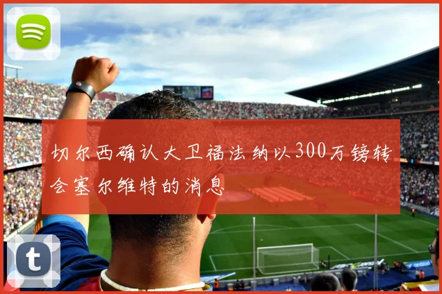 切尔西确认大卫福法纳以300万镑转会塞尔维特的消息